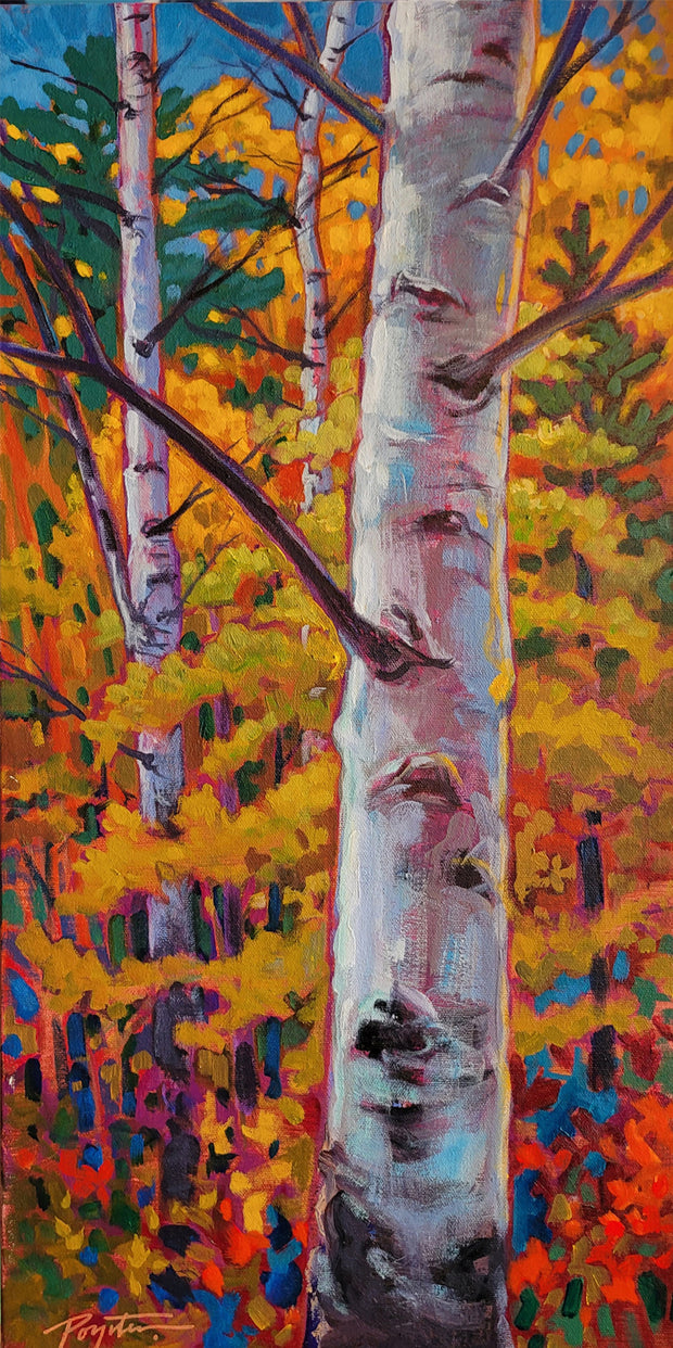 Birch & Woods 