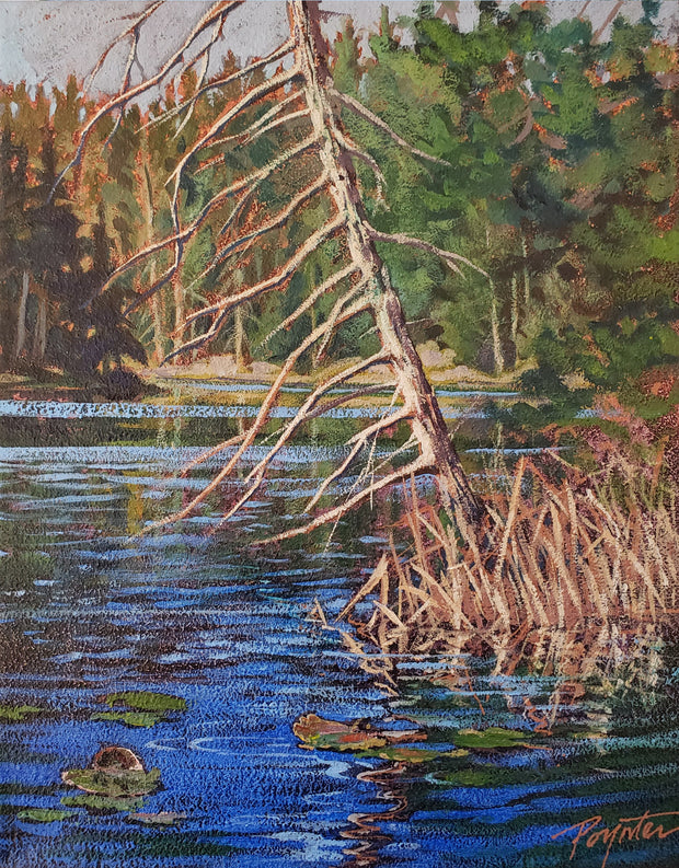 Trout Lake - snag  SOLD
